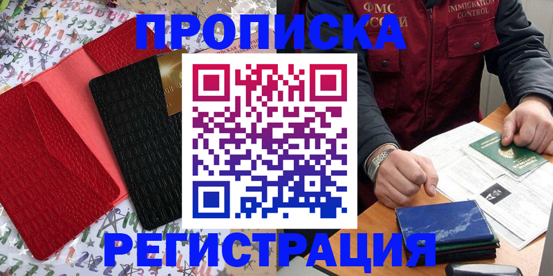 прописка штамп в Чудово